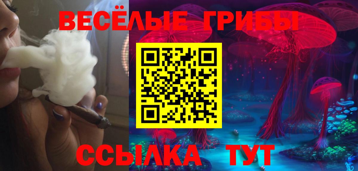 Псилоцибиновые грибы Psilocybe  Вход с VPN  Гудермес 